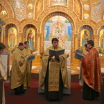 Річниця Євромайдану 2014 Чикаго Річниця Євромайдану 2014 Чикаго