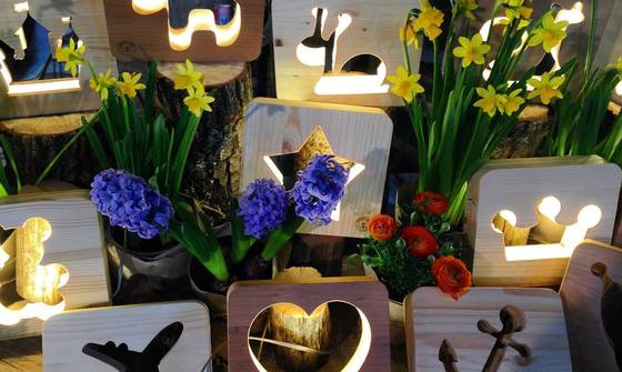 Creative Light, фото