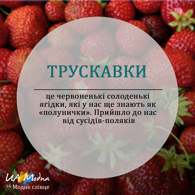 Модне слівце Трускавки український сленг, неологізми, жаргонізми Модне слівце Трускавки український сленг, неологізми, жаргонізми