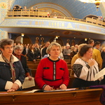 Річниця Євромайдану 2014 Чикаго США фото Річниця Євромайдану 2014 Чикаго США фото