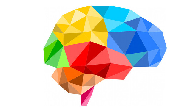 пам'ять людини пам'ять людини