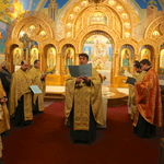 Річниця Євромайдану 2014 Чикаго США діаспора Річниця Євромайдану 2014 Чикаго США діаспора