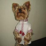 вишиванки для тварин (фото) вишиванки для тварин (фото)