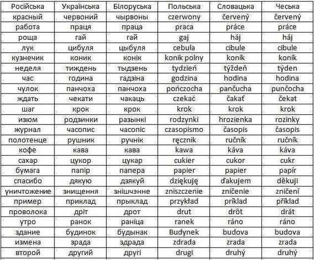 схожі слова в різних мовах схожі слова в різних мовах