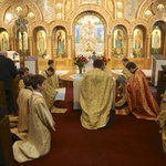 Річниця Євромайдану США діаспора фото Річниця Євромайдану США діаспора фото