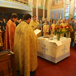 Річниця Євромайдану 2014 Чикаго США Річниця Євромайдану 2014 Чикаго США