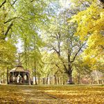 парк Софіївка (фото)