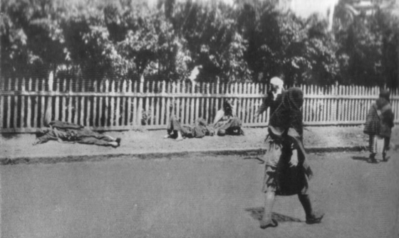 Голодомор 1932-1933 рр.: історична довідка, спогади очевидців, факти 1/2 Голодомор 1932-1933 рр.: історична довідка, спогади очевидців, факти 1/2