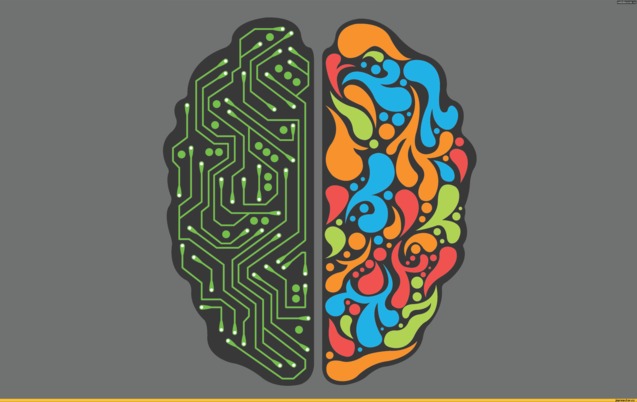 запам'ятовування (мозок) запам'ятовування (мозок)