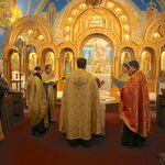 Річниця Євромайдану 2014 діаспора фото Річниця Євромайдану 2014 діаспора фото