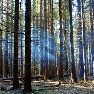 Ґорґани, Карпати, фото Ґорґани, Карпати, фото