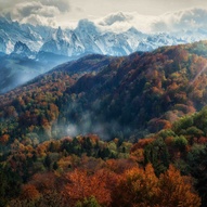 пожовклі осінні листочки (фото) пожовклі осінні листочки (фото)