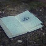 Сергій і Віталій Грехи Сергій і Віталій Грехи