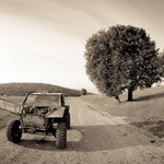 Бережани Трофі (фото) Бережани Трофі (фото)